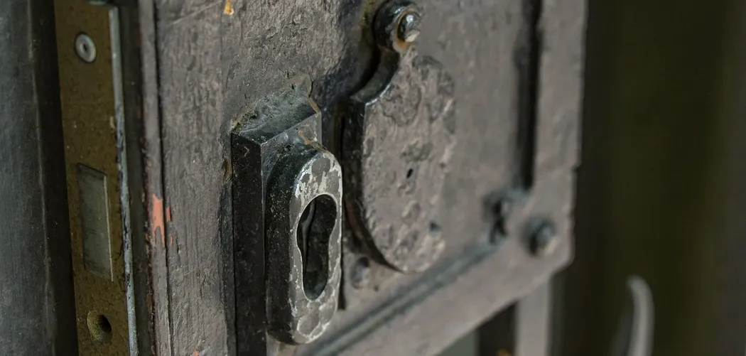 teak lock home protection system