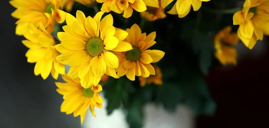 10 Clever Ways to Make Your Home Feel Bigger and Brighter
