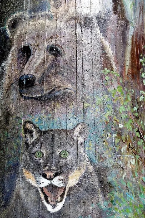 artwork on the wall