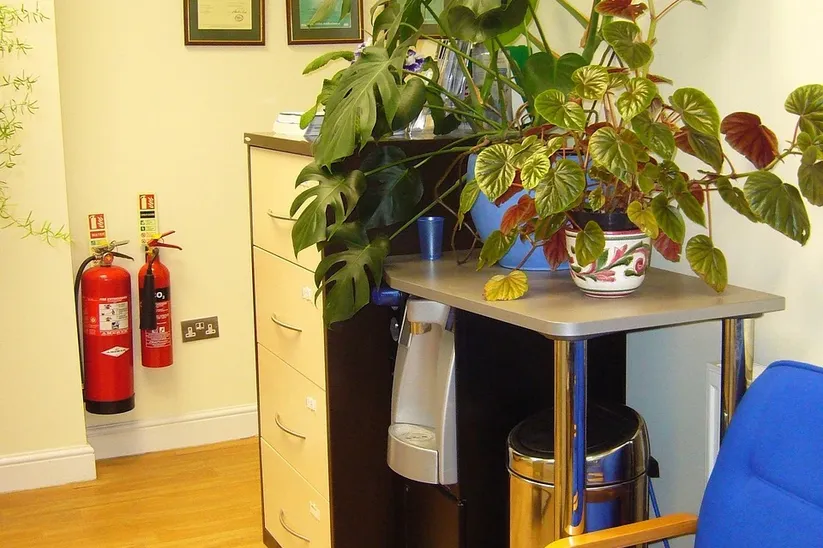 plant area