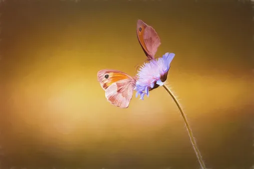 eye catching paintings
